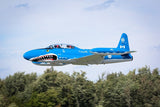 T-33 Mako Shark Jet Flight