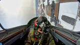 Aero L-29 "Viper" Delfin Jet Flight